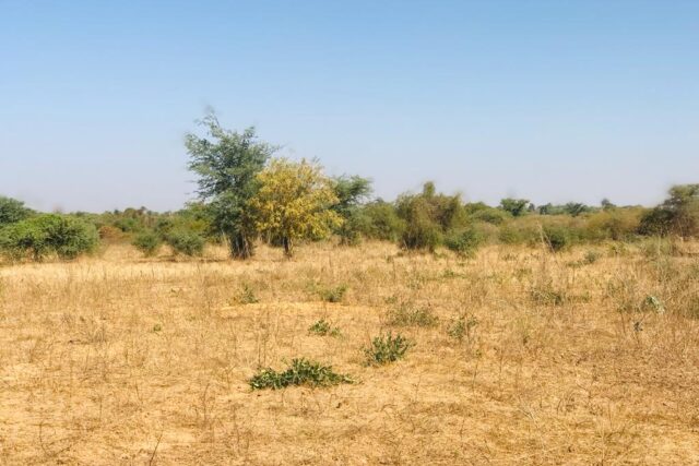 Terrain de 2,05 hectares vers Popenguine