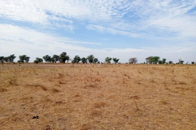 Protégé : Terrain de 3,3 hectares vers Tassette