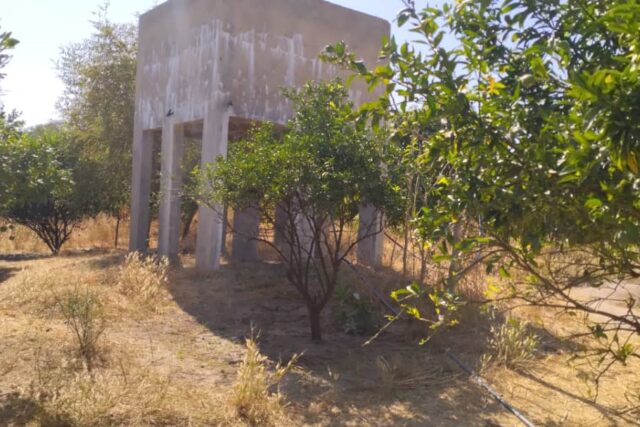 Protégé : Verger Fruitier 1,6 hectare vers Keur Samba Kane