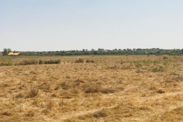 Protégé : Terrain de 10 hectares vers Keur Moussa