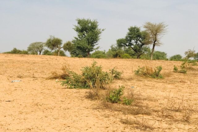 Protégé : Terrain Agricole de 1,9 hectare vers Touba Toul