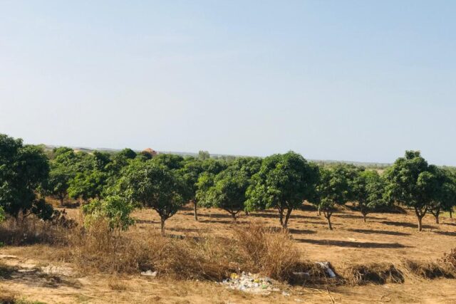 Ferme de 7 hectares vers Diender