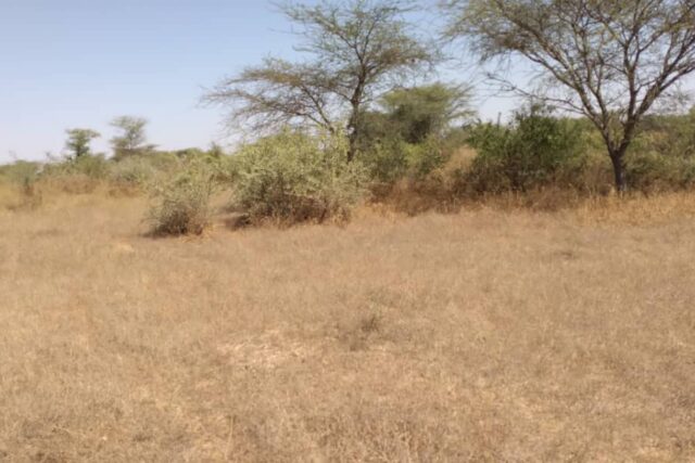 Terrain de 17 hectares vers Keur Samba Kane