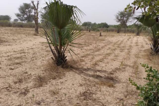 Terrain de 9012 m²  vers Notto Diobass