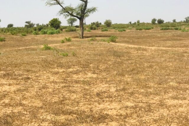 Protégé : Terrain de 7,67 hectares vers Touba Toul
