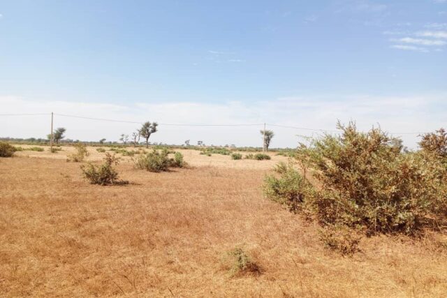 Protégé : Terrain de 5 hectares vers Tassette