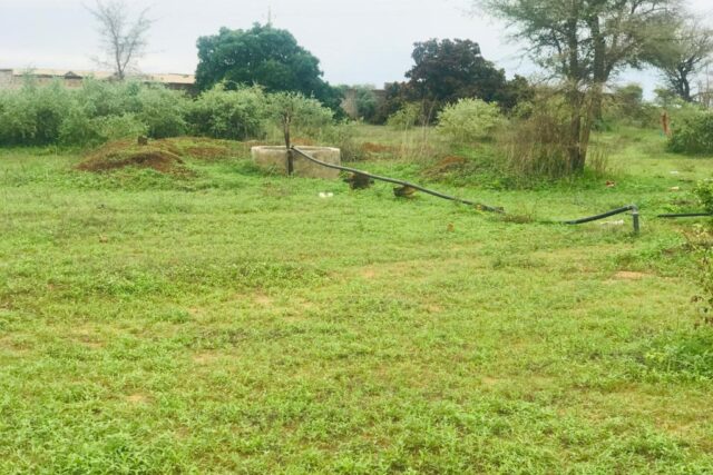 Verger de 3 hectares vers Notto Diobass