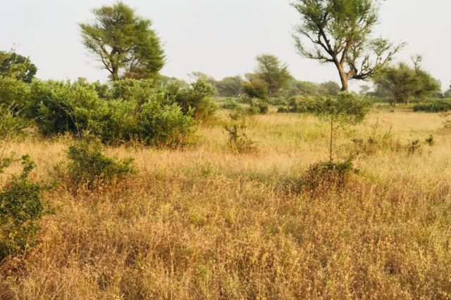 Protégé : Terrain de 8098 m² vers Tassette