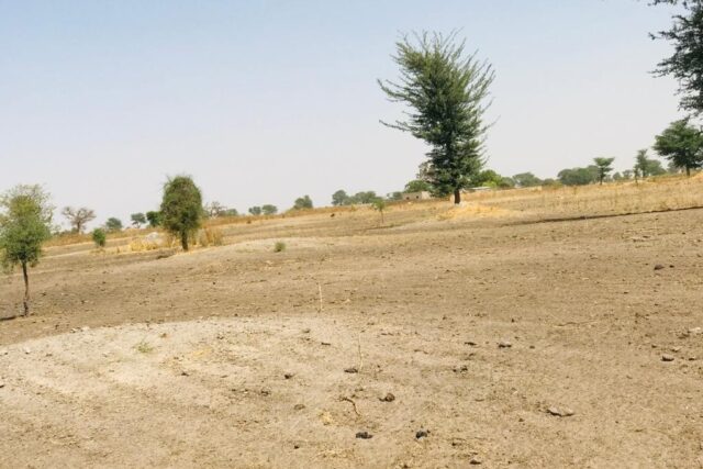 Protégé : Terrain de 2,18 hectares vers Tassette