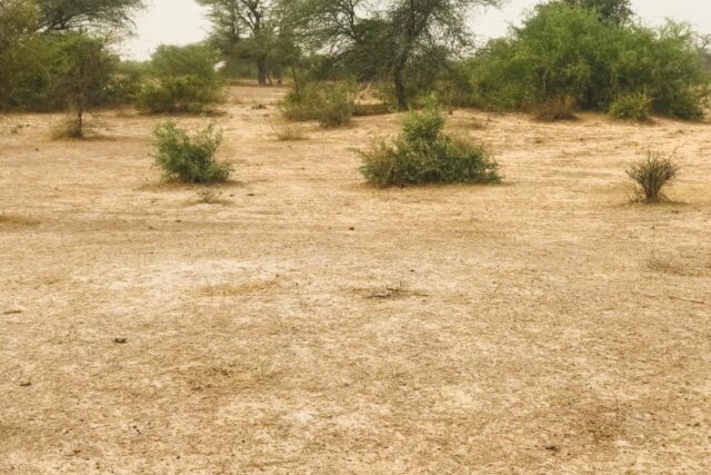 Terrain de 9,25 hectares vers Keur Samba Kane