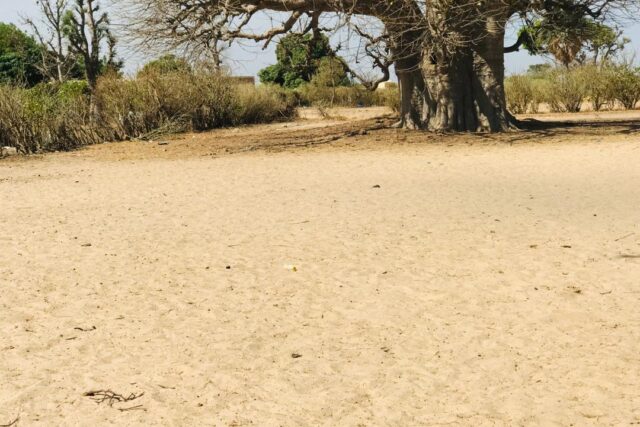 Terrain Agricole de 3502 m² vers Notto Diobass