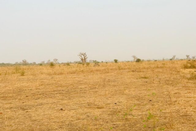 Terrain de 3,2 hectares vers Nguéniène