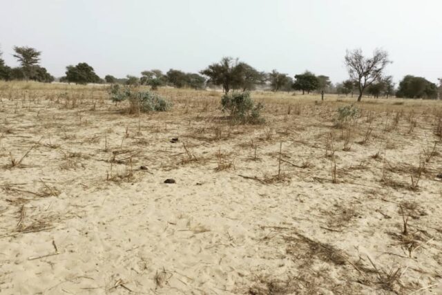 Terrain de 3,06 hectares vers Keur Samba Kane