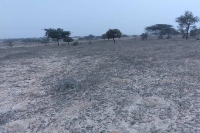 Protégé : Terrain de 5,27 hectares vers Thieppe