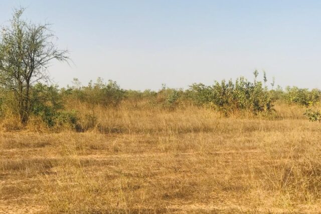 Protégé : Terrain de 7,93 hectares vers Thiénaba