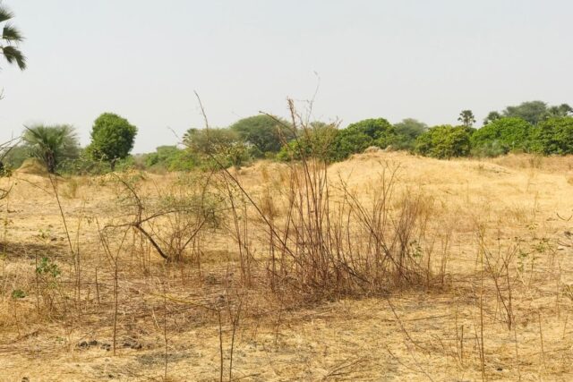 Terrain de 8997 m² vers Fimela