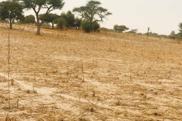 Protégé : Terrain de 1,15 hectare à Thiénaba