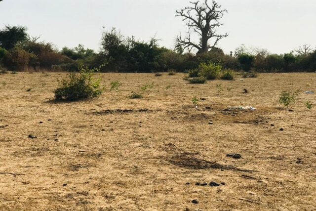 Terrain de 3,02 hectares vers Sindia