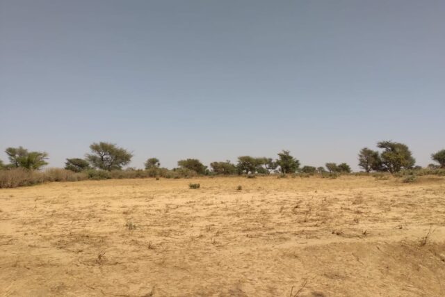 Protégé : Terrain de 1,78 hectare à Tassette