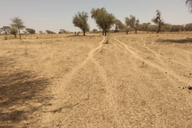 Terrain de 1,43 Hectare vers Sagata