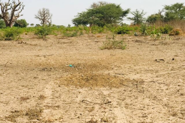 Terrain de 4794 m² vers Cherif Lô