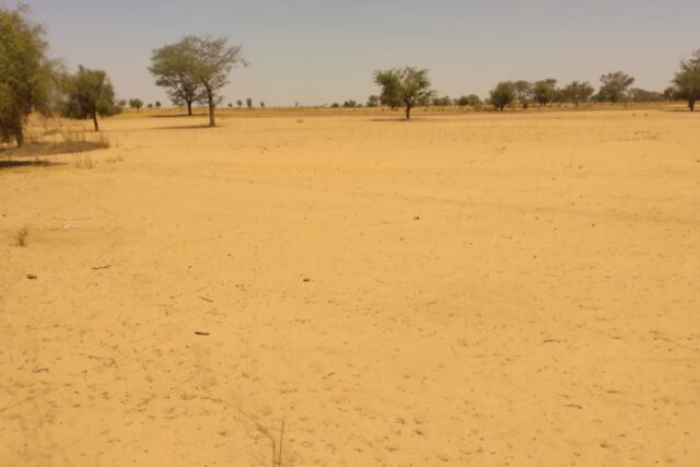 Terrain de 6,47 hectares vers Sagata