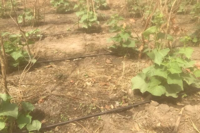 Terrain de 3 hectares vers Kataba 1