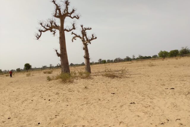 Protégé : Terrain de 1,46 hectare à Tataguine