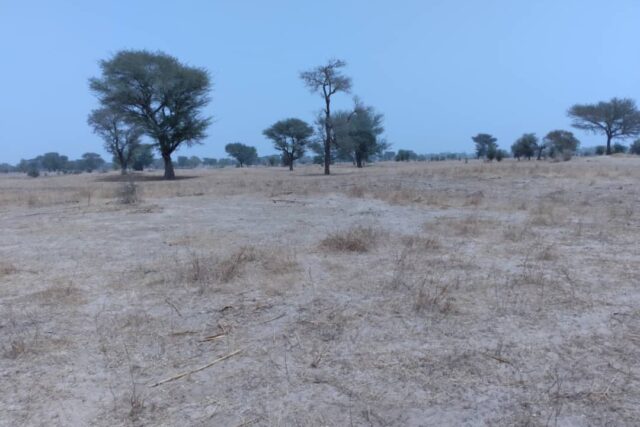 Terrain de 1,73 hectare vers Niakhar