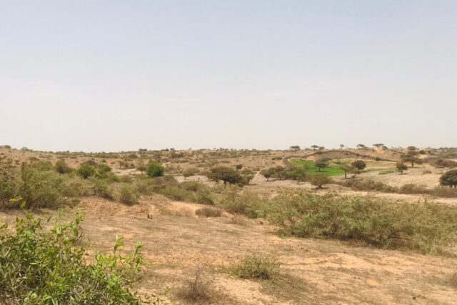 Protégé : Terrain de 4,84 hectares vers Kab Gaye