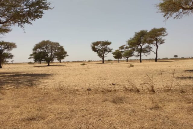 Terrain de 1,44 hectare à Tassette