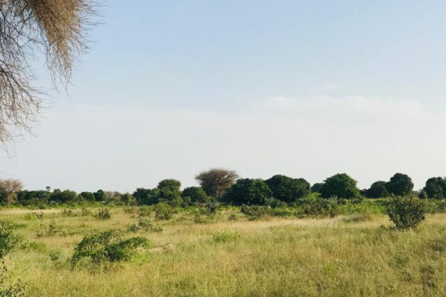 Terrain de 2,09 hectares vers  Pire