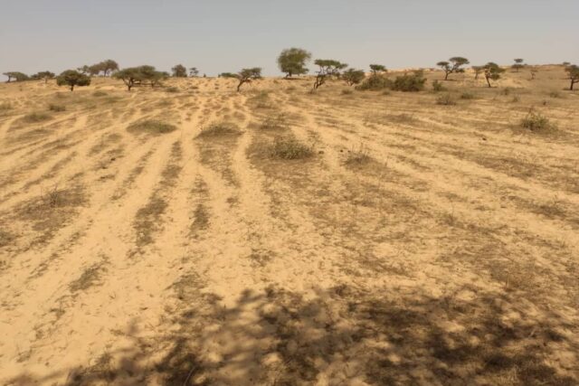 Protégé : Terrain de 9 hectares vers Darou Khoudoss