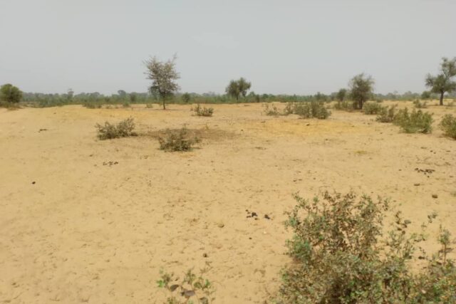 Terrain de 1,28 hectare vers Niakhar