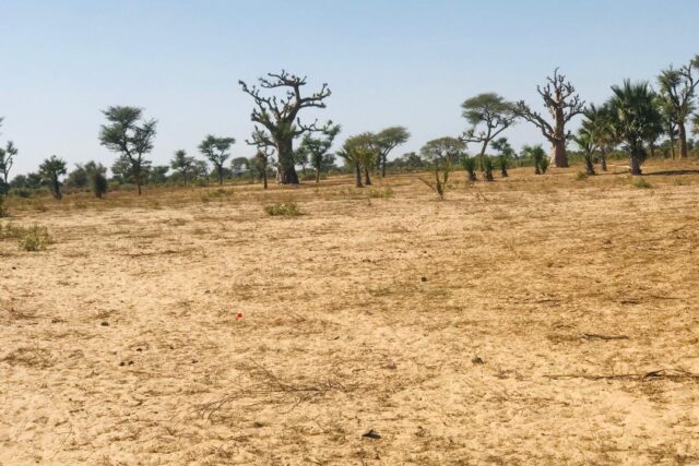 Terrain de 1,29 hectare vers Notto Diobass