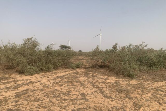 Terrain de 1,72 hectare vers Taiba Ndiaye