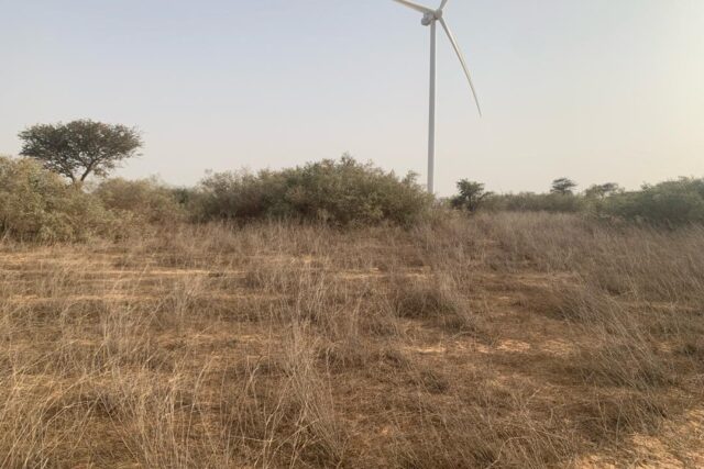 Terrain de 1,72 hectare vers Taiba Ndiaye