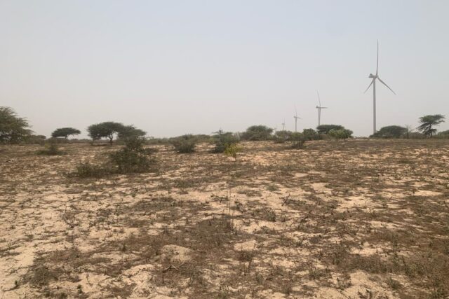 Verger de 7129 m² vers Taiba Ndiaye