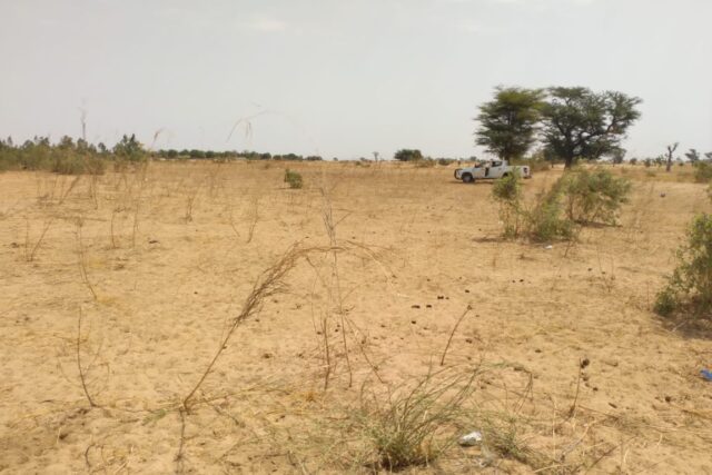 Verger de 8027 m² vers Patar