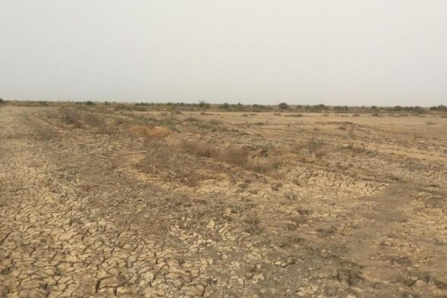 Terrain de 10 hectares vers Diama