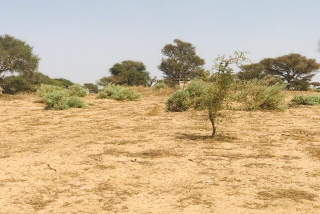 Terrain de 1,90 hectare vers Cherif Lô