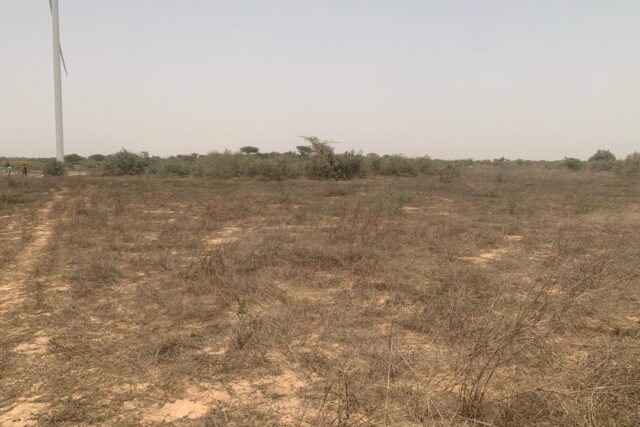 Terrain de 9276 m² vers Taiba Ndiaye