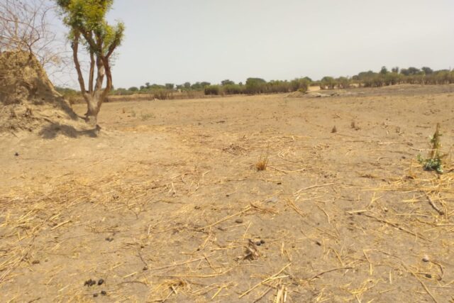 Verger de 9882 m² vers Tataguine