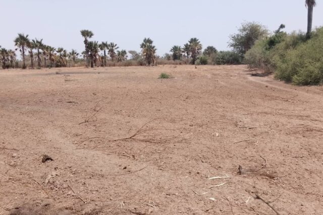 Verger de  3,31 hectares vers Fandène