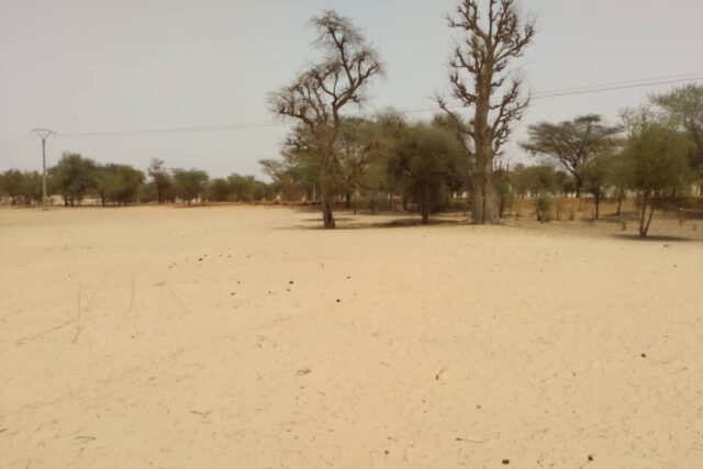 Terrain de 1,81 hectare vers Baba Garage