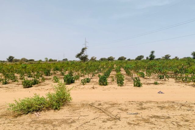 Terrain de 3,94 hectares vers Fandéne