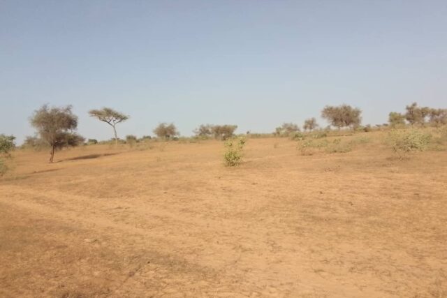 Terrain de 3 hectares vers Thiénaba