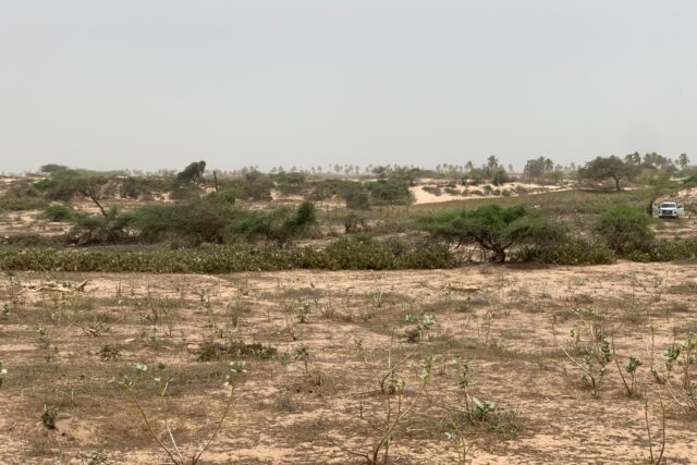 Terrain de 1,40 hectare vers Gandiol