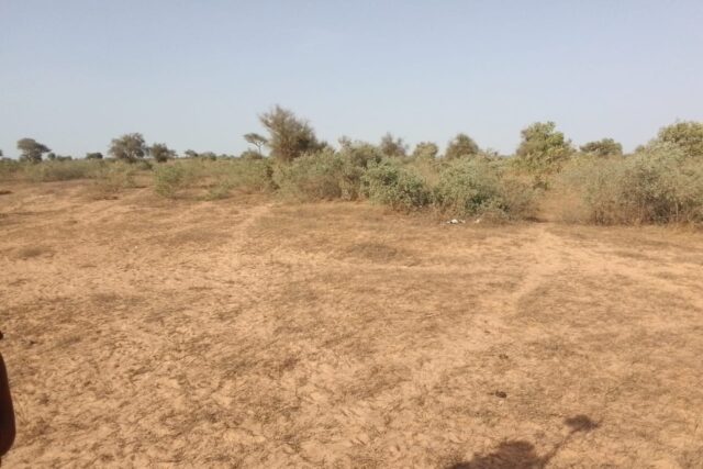 Terrain de 2,5 hectares vers Thiénaba