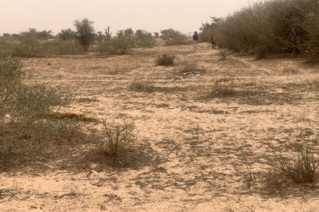 Terrain de 2,59 hectares vers Kébémer